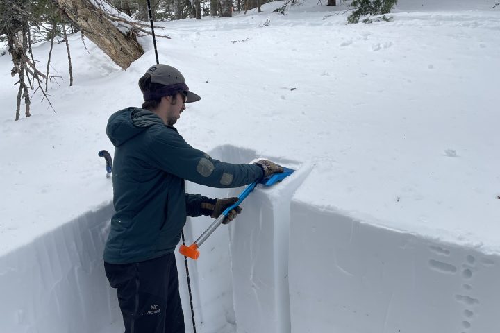 learn how to assess and understand the story of the snow