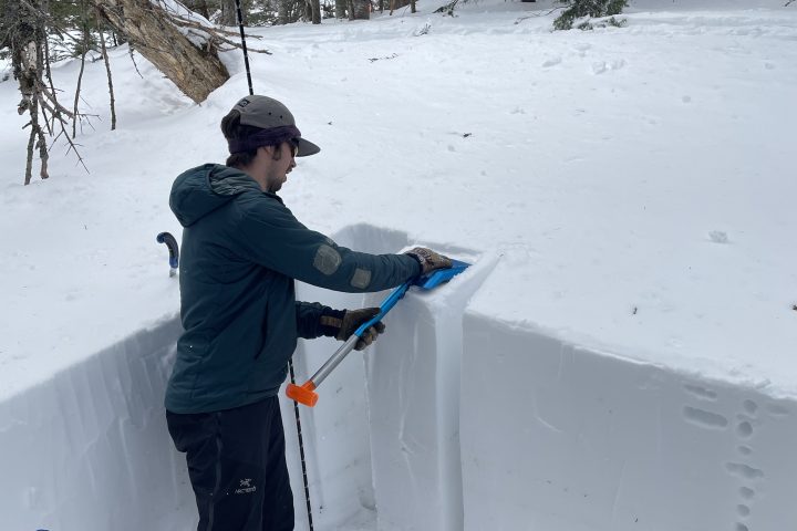 learn how to assess and understand the story of the snow