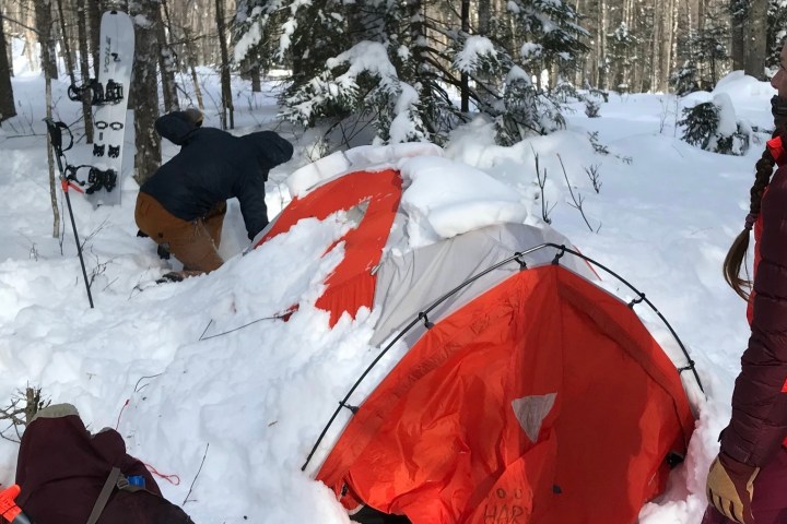 a group of people on a snow covered forest