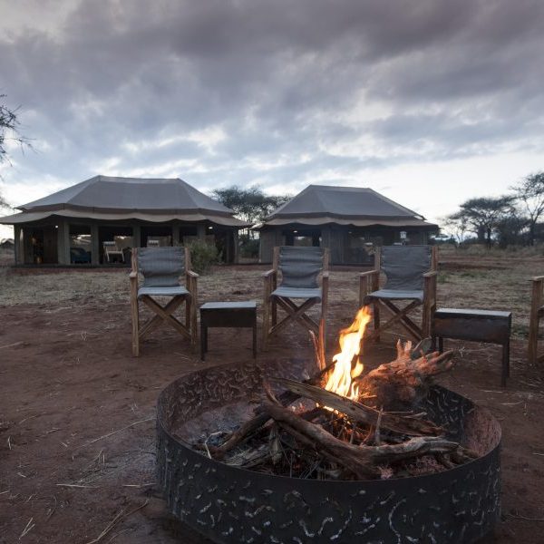 relax and unwind on safari