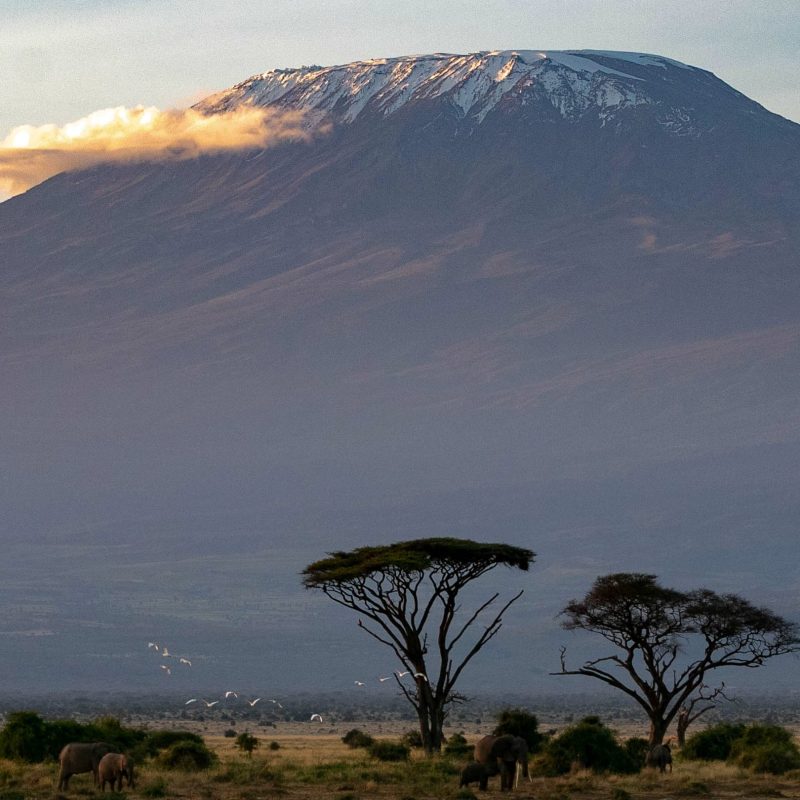 Mount Kilimanjaro