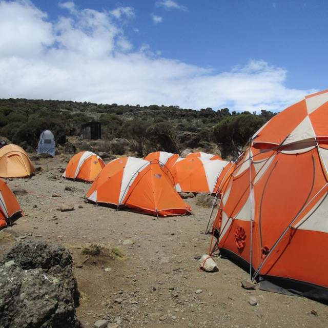 a large orange umbrella