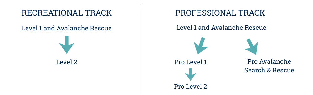 A3 infographic Diagram of recreational and professional avalanche training tracks.